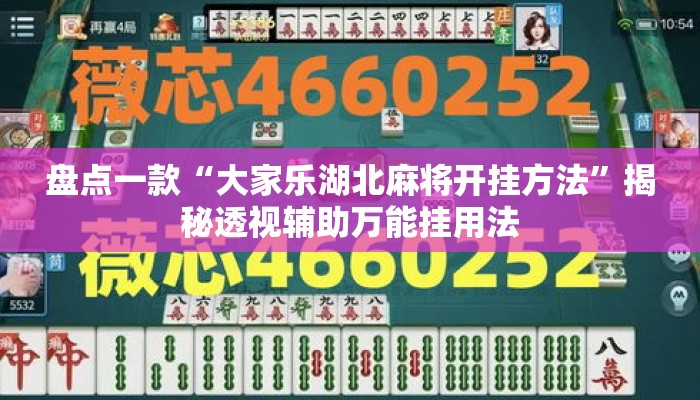 盘点一款“大家乐湖北麻将开挂方法	”揭秘透视辅助万能挂用法