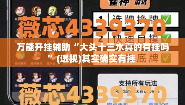 万能开挂辅助“大头十三水真的有挂吗	”(透视)其实确实有挂 