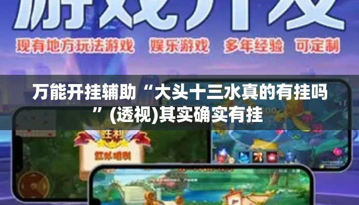 万能开挂辅助“大头十三水真的有挂吗”(透视)其实确实有挂 
