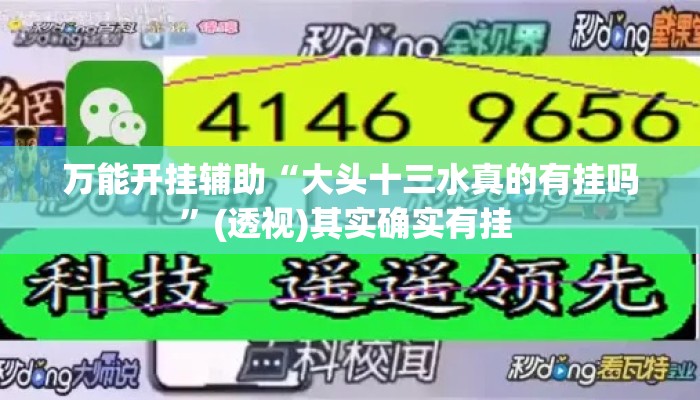 万能开挂辅助“大头十三水真的有挂吗”(透视)其实确实有挂 