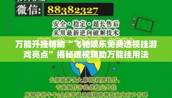 万能开挂辅助“飞驰娱乐免费透视挂游戏亮点”揭秘透视辅助万能挂用法