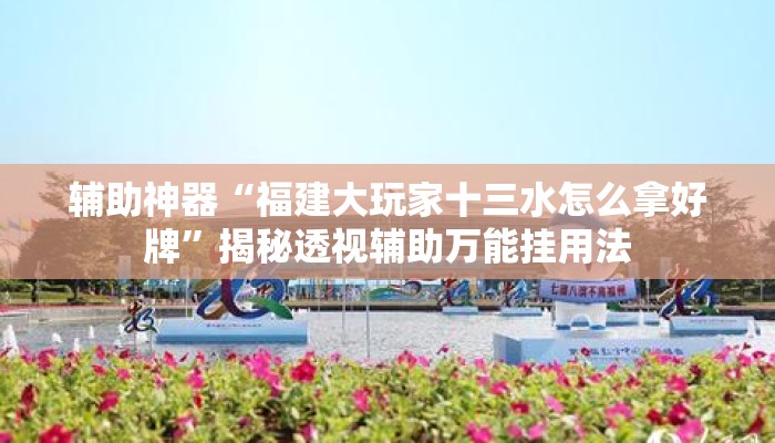 辅助神器“福建大玩家十三水怎么拿好牌”揭秘透视辅助万能挂用法