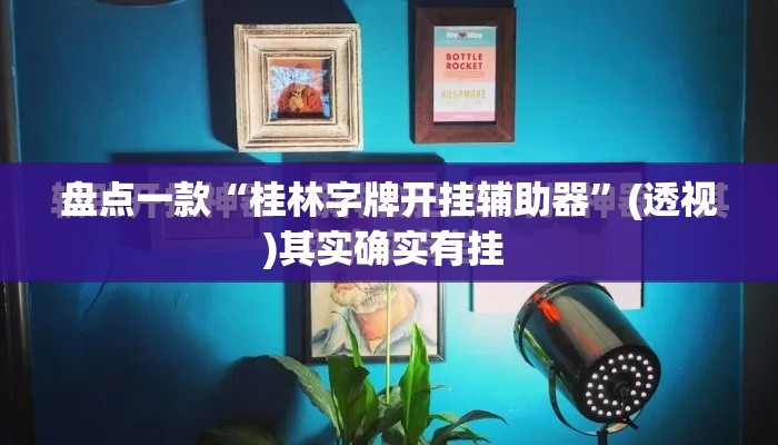 盘点一款“桂林字牌开挂辅助器	”(透视)其实确实有挂 