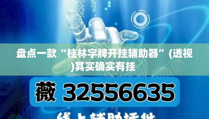 盘点一款“桂林字牌开挂辅助器”(透视)其实确实有挂 