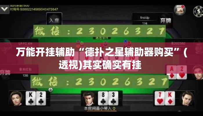 万能开挂辅助“德扑之星辅助器购买”(透视)其实确实有挂 