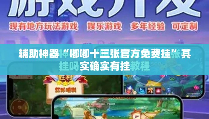 辅助神器“嘟嘟十三张官方免费挂	”其实确实有挂