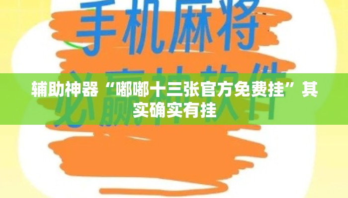 辅助神器“嘟嘟十三张官方免费挂”其实确实有挂