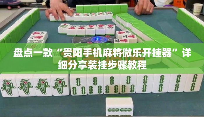 盘点一款“贵阳手机麻将微乐开挂器	”详细分享装挂步骤教程