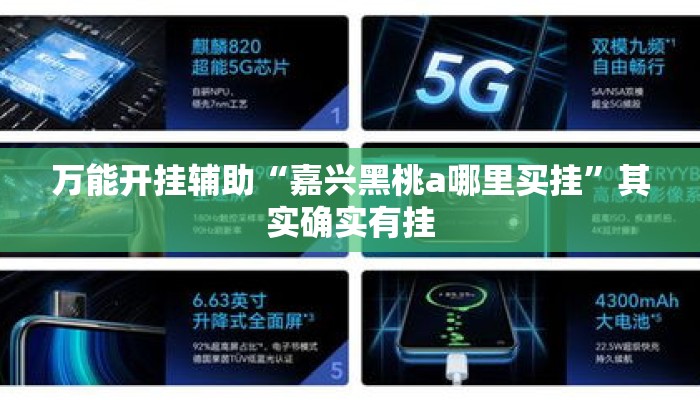 万能开挂辅助“嘉兴黑桃a哪里买挂”其实确实有挂