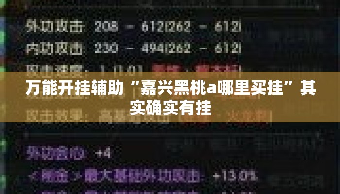 万能开挂辅助“嘉兴黑桃a哪里买挂	”其实确实有挂