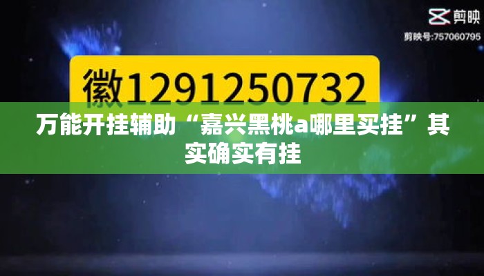 万能开挂辅助“嘉兴黑桃a哪里买挂”其实确实有挂