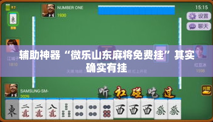 辅助神器“微乐山东麻将免费挂”其实确实有挂