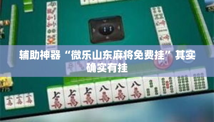 辅助神器“微乐山东麻将免费挂”其实确实有挂