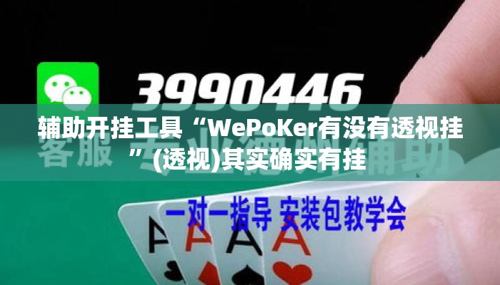 辅助开挂工具“WePoKer有没有透视挂”(透视)其实确实有挂 