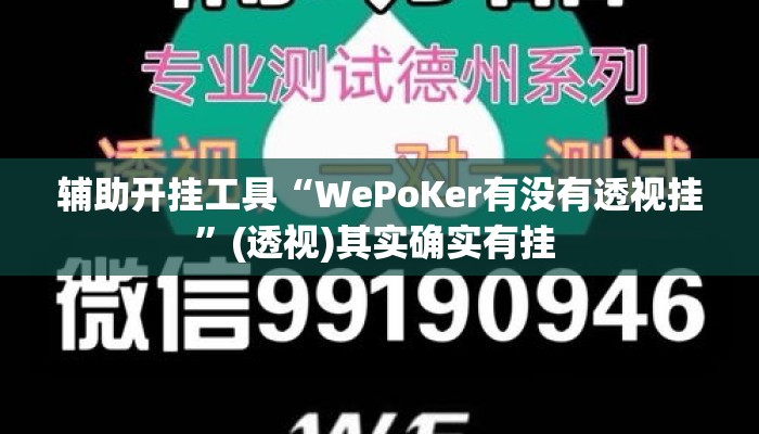 辅助开挂工具“WePoKer有没有透视挂	”(透视)其实确实有挂 