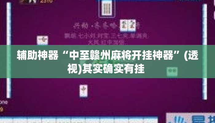 辅助神器“中至赣州麻将开挂神器”(透视)其实确实有挂 