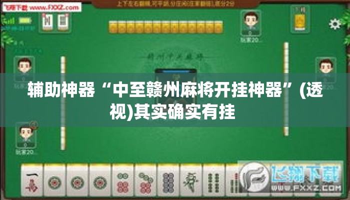 辅助神器“中至赣州麻将开挂神器	”(透视)其实确实有挂 