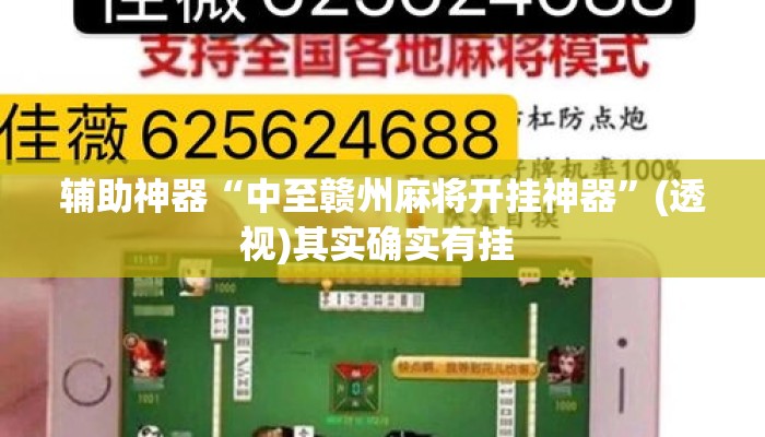 辅助神器“中至赣州麻将开挂神器”(透视)其实确实有挂 