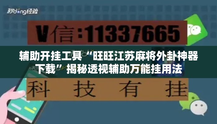 辅助开挂工具“旺旺江苏麻将外卦神器下载	”揭秘透视辅助万能挂用法