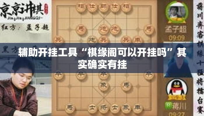 辅助开挂工具“棋缘阁可以开挂吗	”其实确实有挂