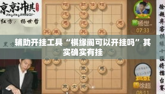 辅助开挂工具“棋缘阁可以开挂吗”其实确实有挂