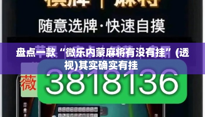 盘点一款“微乐内蒙麻将有没有挂”(透视)其实确实有挂 