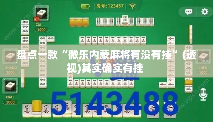 盘点一款“微乐内蒙麻将有没有挂”(透视)其实确实有挂 