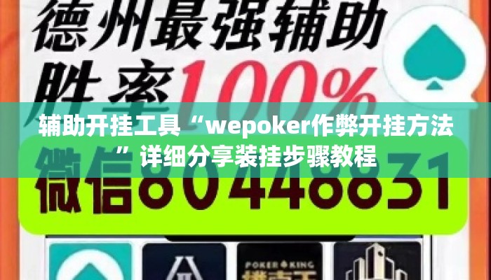 辅助开挂工具“wepoker作弊开挂方法	”详细分享装挂步骤教程