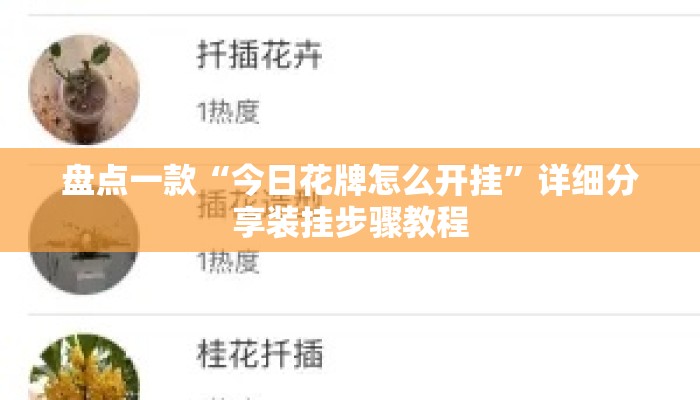 盘点一款“今日花牌怎么开挂”详细分享装挂步骤教程