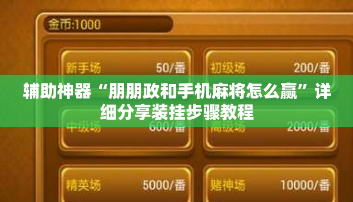 辅助神器“朋朋政和手机麻将怎么赢	”详细分享装挂步骤教程