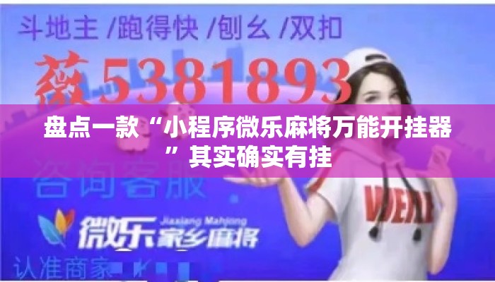 盘点一款“小程序微乐麻将万能开挂器”其实确实有挂