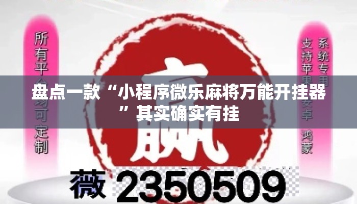 盘点一款“小程序微乐麻将万能开挂器	”其实确实有挂