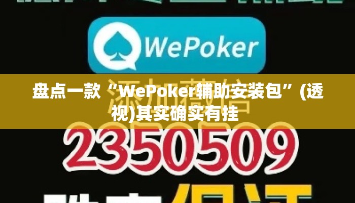 盘点一款“WePoker辅助安装包”(透视)其实确实有挂 