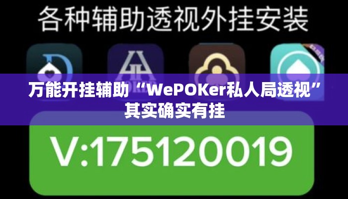 万能开挂辅助“WePOKer私人局透视”其实确实有挂