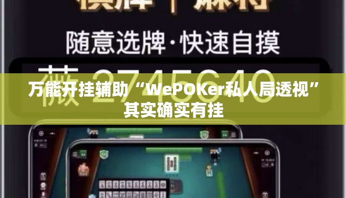 万能开挂辅助“WePOKer私人局透视	”其实确实有挂