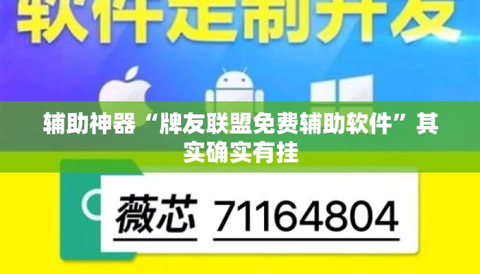 辅助神器“牌友联盟免费辅助软件	”其实确实有挂