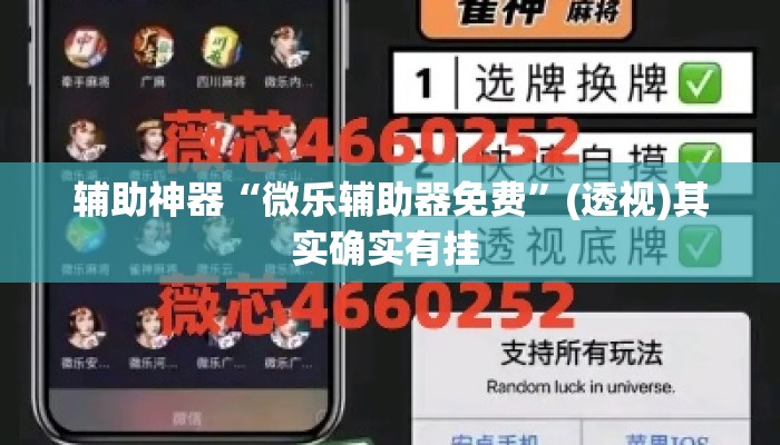 辅助神器“微乐辅助器免费”(透视)其实确实有挂 