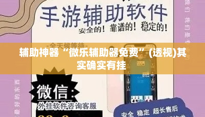 辅助神器“微乐辅助器免费”(透视)其实确实有挂 