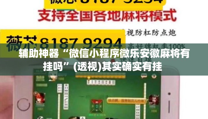 辅助神器“微信小程序微乐安徽麻将有挂吗”(透视)其实确实有挂 