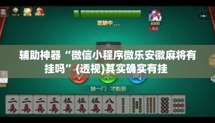 辅助神器“微信小程序微乐安徽麻将有挂吗”(透视)其实确实有挂 