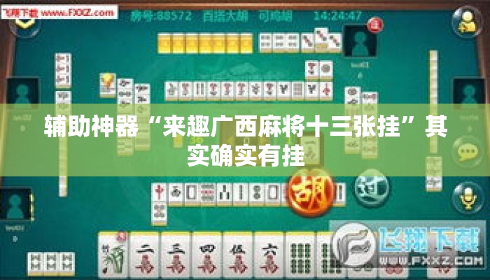 辅助神器“来趣广西麻将十三张挂”其实确实有挂