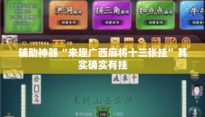 辅助神器“来趣广西麻将十三张挂”其实确实有挂