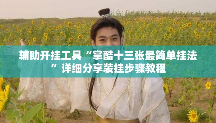 辅助开挂工具“掌酷十三张最简单挂法”详细分享装挂步骤教程