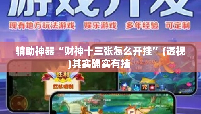 辅助神器“财神十三张怎么开挂”(透视)其实确实有挂 