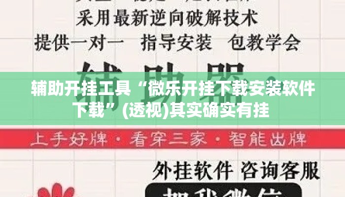 辅助开挂工具“微乐开挂下载安装软件下载	”(透视)其实确实有挂 