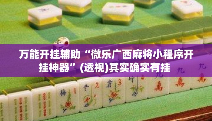 万能开挂辅助“微乐广西麻将小程序开挂神器	”(透视)其实确实有挂 