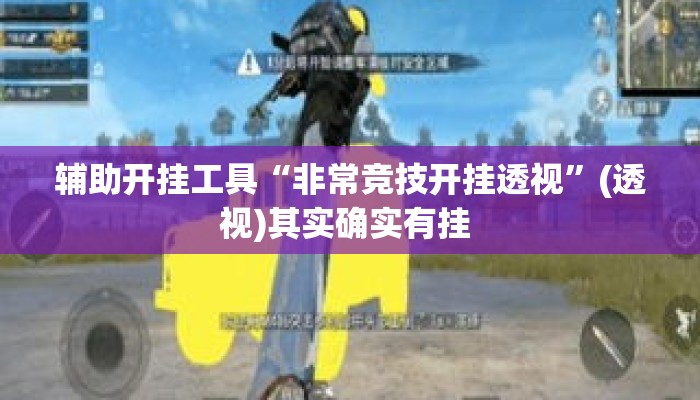 辅助开挂工具“非常竞技开挂透视”(透视)其实确实有挂 
