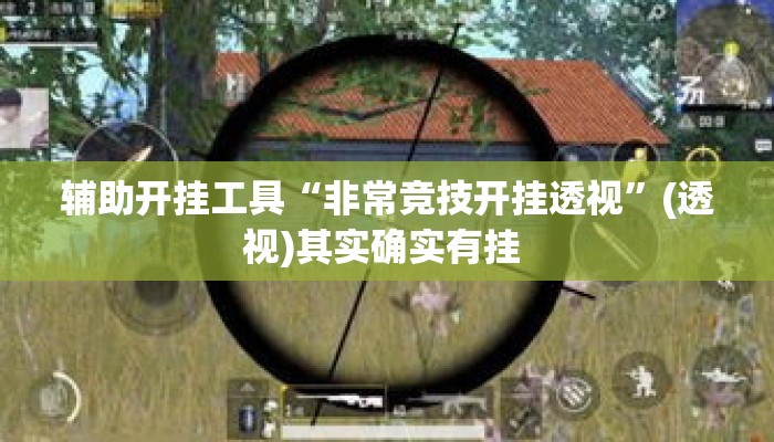 辅助开挂工具“非常竞技开挂透视”(透视)其实确实有挂 