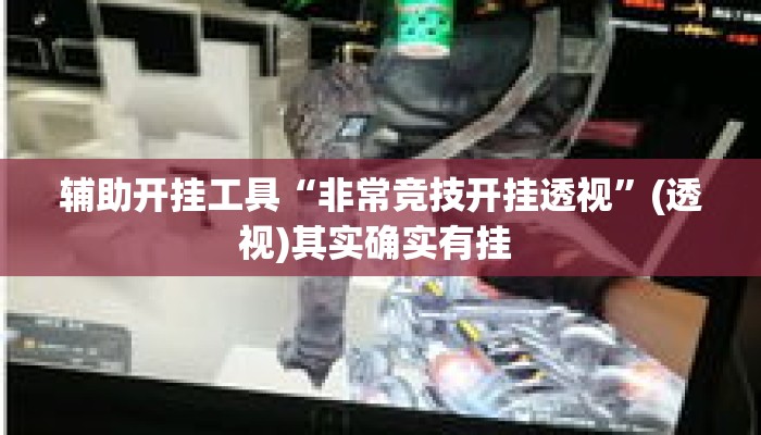 辅助开挂工具“非常竞技开挂透视”(透视)其实确实有挂 