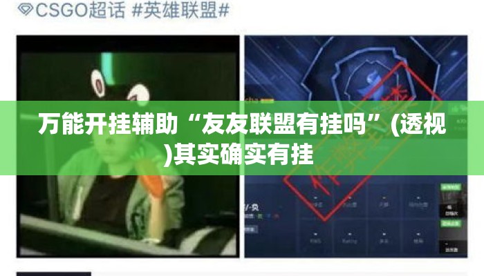 万能开挂辅助“友友联盟有挂吗”(透视)其实确实有挂 
